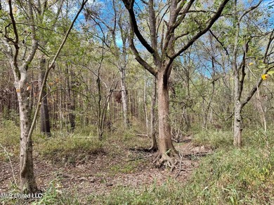 Wait, what?! Yep... this is a rare opportunity to own 102 acres - photo 17