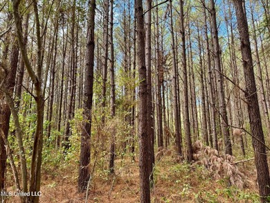Wait, what?! Yep... this is a rare opportunity to own 102 acres - photo 18
