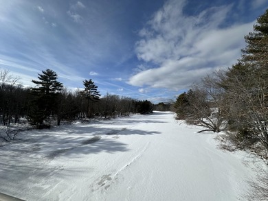 40 pristine wooded acres located in Parsonsfield on RT 160 with - photo 21