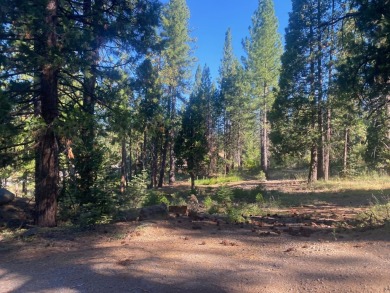 Lake Lot Sale Pending in Lake Almanor, California