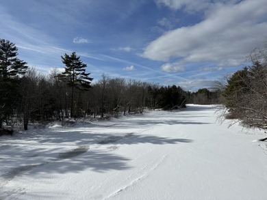 40 pristine wooded acres located in Parsonsfield on RT 160 with - photo 22
