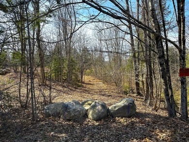 40 pristine wooded acres located in Parsonsfield on RT 160 with - photo 29