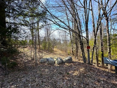 40 pristine wooded acres located in Parsonsfield on RT 160 with - photo 30