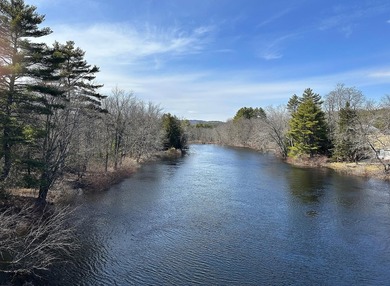 40 pristine wooded acres located in Parsonsfield on RT 160 with - photo 33