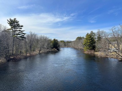 40 pristine wooded acres located in Parsonsfield on RT 160 with - photo 34