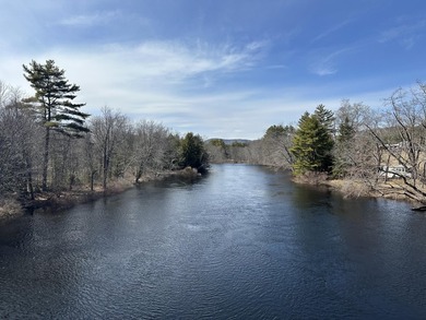 40 pristine wooded acres located in Parsonsfield on RT 160 with - photo 36