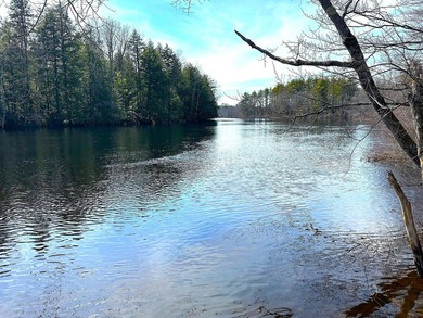 40 pristine wooded acres located in Parsonsfield on RT 160 with - photo 41