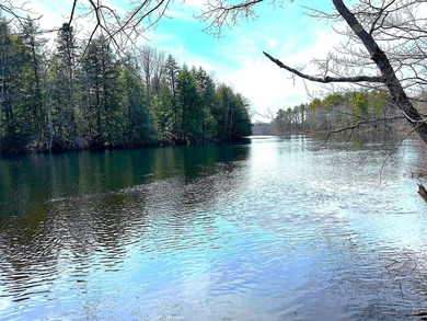 40 pristine wooded acres located in Parsonsfield on RT 160 with - photo 42