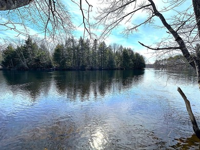 40 pristine wooded acres located in Parsonsfield on RT 160 with - photo 44