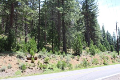 Lake Acreage For Sale in Lake Almanor, California
