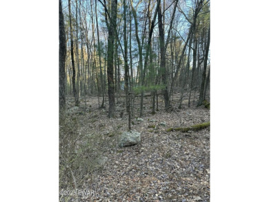 (private lake, pond, creek) Lot For Sale in Milford Pennsylvania