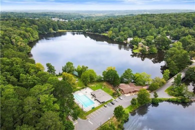 Lake Home Sale Pending in Roswell, Georgia