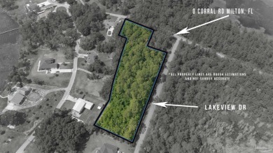 Blackwater River Acreage For Sale in Milton Florida