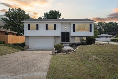 Lake Erie - Lake County Home Sale Pending in Eastlake Ohio