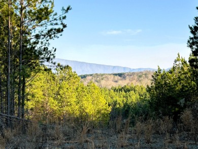 Hiwassee River Lot For Sale in Calhoun Tennessee