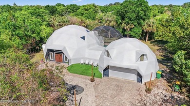 Welcome to the Coco-Dome! This is your opportunity to own one of - photo 25