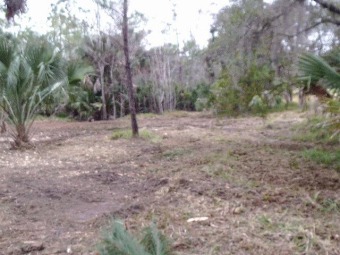 St. Marks River Lot For Sale in St. Marks Florida