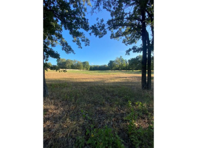 Quiet country living! This beautiful 1.42 acre lot is ready for - Lake Lot For Sale in Pittsburg, Texas