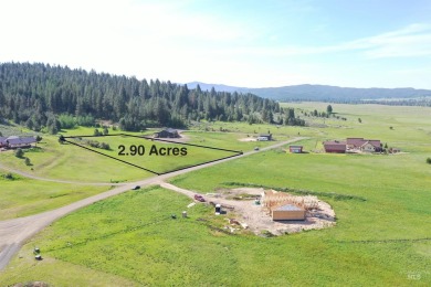Lake Acreage For Sale in Donnelly, Idaho