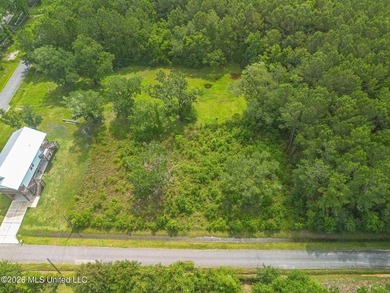 Come build your dream home on this semi cleared lot. Just a - photo 1