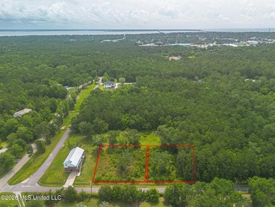 Come build your dream home on this semi cleared lot. Just a - photo 2