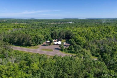 This property includes both a 4 BR, 2 BA home and a renowned & - photo 32