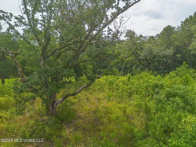 Come build your dream home on this semi cleared lot. Just a - photo 3