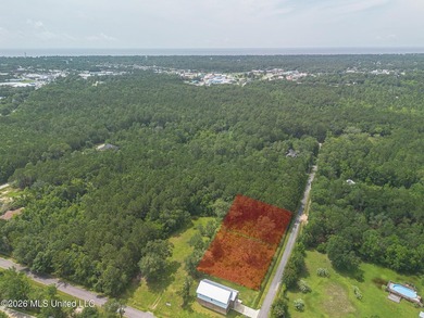 Come build your dream home on this semi cleared lot. Just a - photo 6