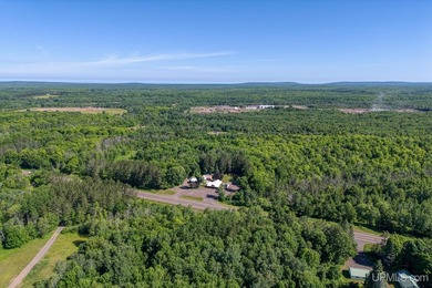 This property includes both a 4 BR, 2 BA home and a renowned & - photo 53
