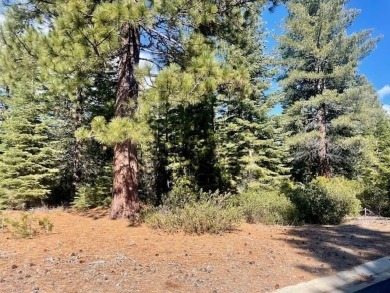 Lake Lot For Sale in Lake Almanor, California