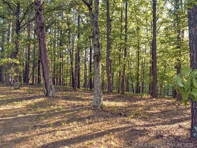 (private lake, pond, creek) Lot For Sale in Kansas Oklahoma