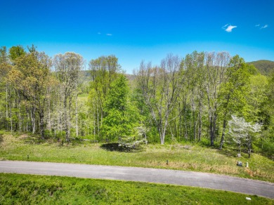 Lake Lot For Sale in Bulter, Tennessee
