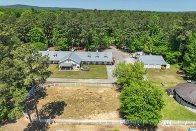 Equestrian Dream on Lay Lake! Welcome to an equestrian lover's - photo 3