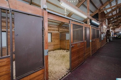 Equestrian Dream on Lay Lake! Welcome to an equestrian lover's - photo 10