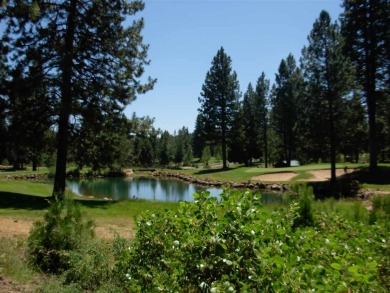 Lake Lot For Sale in Lake Almanor, California