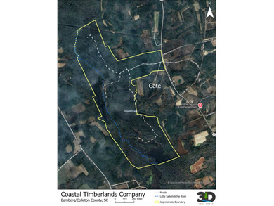 (private lake, pond, coastal) Acreage For Sale in Ehrhardt South Carolina