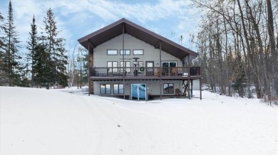 Lake Home For Sale in Palisade, Minnesota