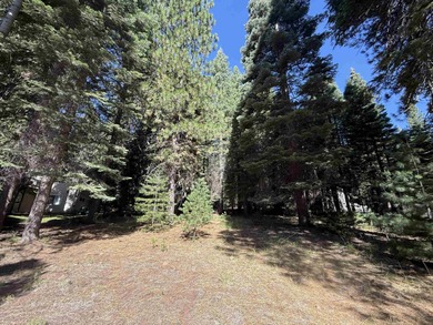 Lake Almanor Lot For Sale in Lake Almanor California