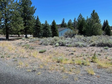 Lake Lot For Sale in Weed, California