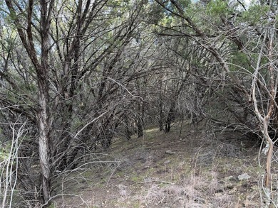 Lovely and secluded two acre lot in the beautiful Hills Above - photo 3