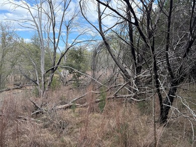 Lovely and secluded two acre lot in the beautiful Hills Above - photo 5