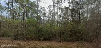 Build your dream home in this beautiful golf course community! - photo 1