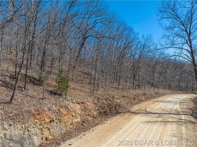 26 Acres with Lake View in Cardinal Cove. Great acreage for your - photo 11