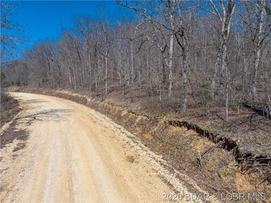 26 Acres with Lake View in Cardinal Cove. Great acreage for your - photo 12