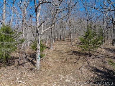 26 Acres with Lake View in Cardinal Cove. Great acreage for your - photo 13