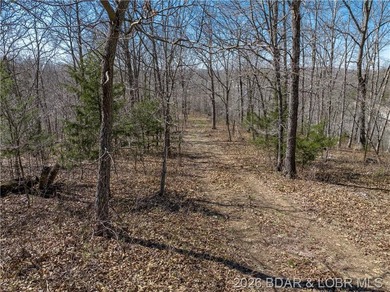 26 Acres with Lake View in Cardinal Cove. Great acreage for your - photo 14