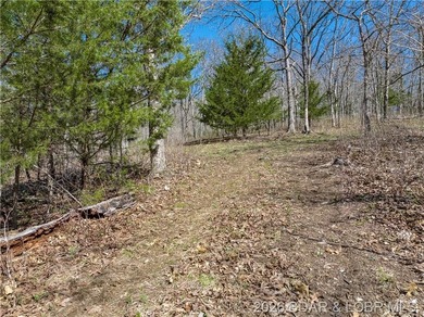 26 Acres with Lake View in Cardinal Cove. Great acreage for your - photo 15