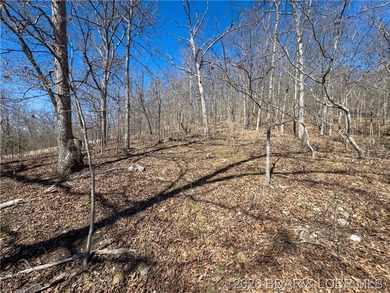 26 Acres with Lake View in Cardinal Cove. Great acreage for your - photo 16