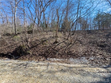 26 Acres with Lake View in Cardinal Cove. Great acreage for your - photo 17