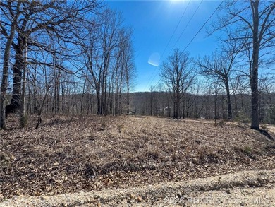 26 Acres with Lake View in Cardinal Cove. Great acreage for your - photo 18